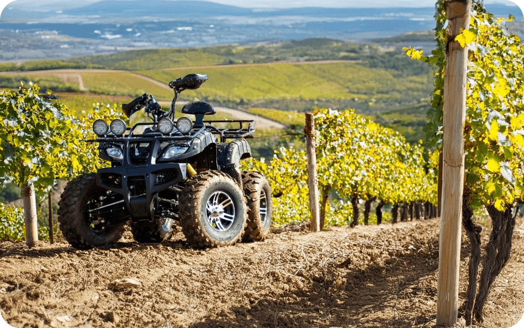 WHY AN ELECTRIC ALL TERRAIN QUAD WOULD BE A GREAT CHOICE FOR VINEYARDS AND